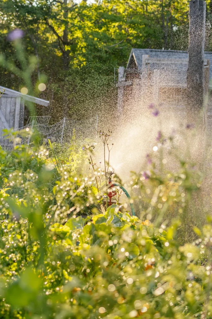 garden maintenance service near me in utah