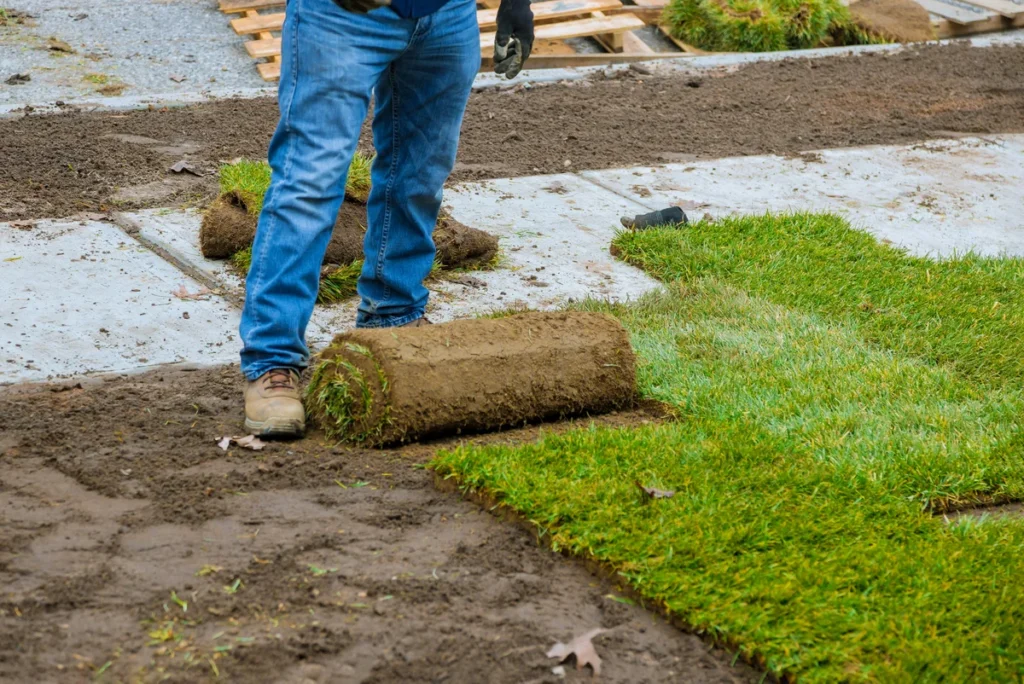 sod installation near me in utah