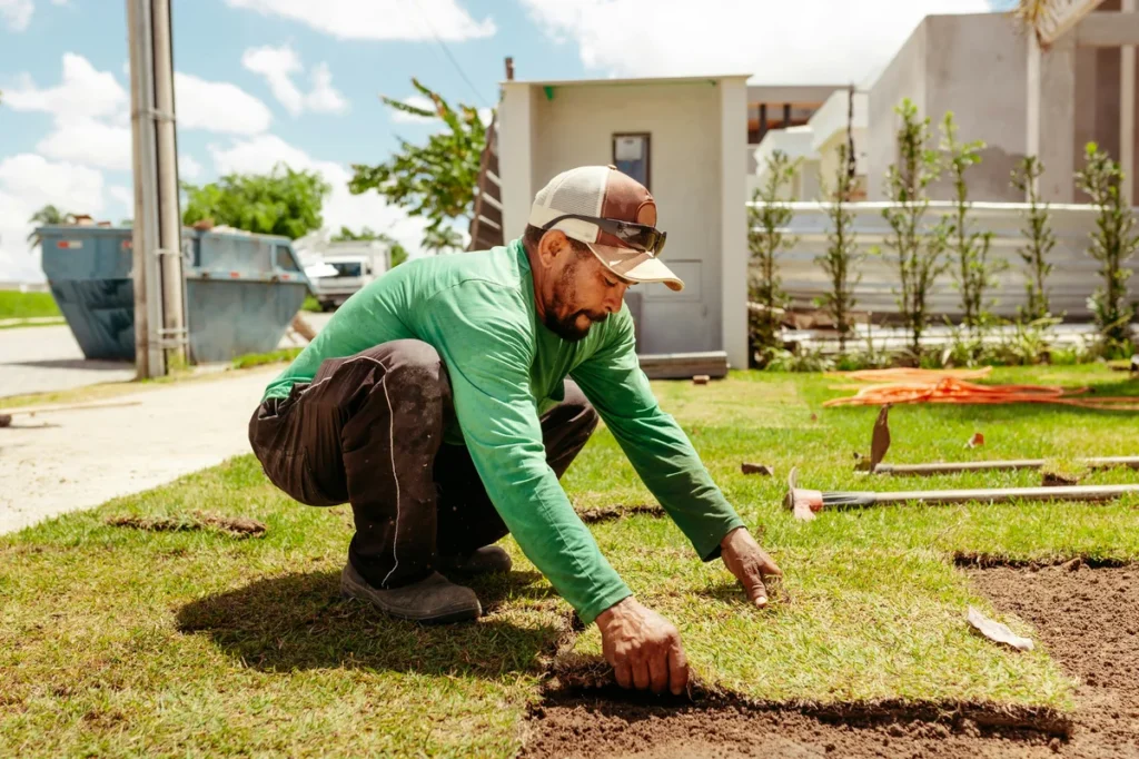 lawn edging